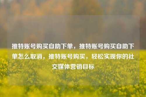 推特账号购买自助下单，推特账号购买自助下单怎么取消，推特账号购买，轻松实现你的社交媒体营销目标