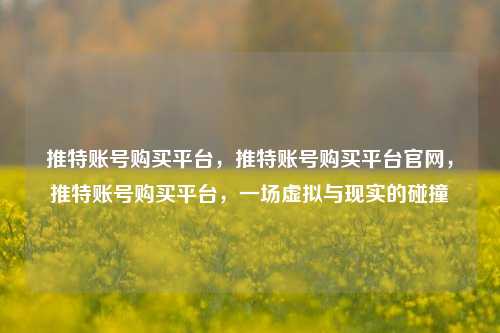 推特账号购买平台，推特账号购买平台官网，推特账号购买平台，一场虚拟与现实的碰撞