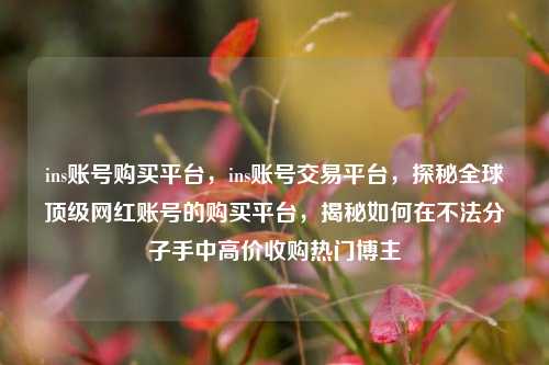 ins账号购买平台，ins账号交易平台，探秘全球顶级网红账号的购买平台，揭秘如何在不法分子手中高价收购热门博主