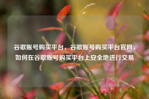 谷歌账号购买平台，谷歌账号购买平台官网，如何在谷歌账号购买平台上安全地进行交易