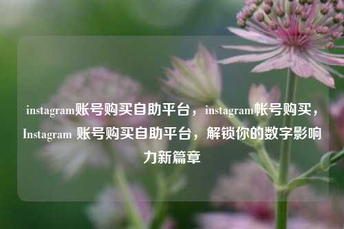 instagram账号购买自助平台，instagram帐号购买，Instagram 账号购买自助平台，解锁你的数字影响力新篇章