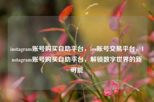 instagram账号购买自助平台，ins账号交易平台，Instagram账号购买自助平台，解锁数字世界的新可能