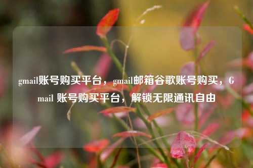 gmail账号购买平台，gmail邮箱谷歌账号购买，Gmail 账号购买平台，解锁无限通讯自由