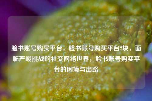 脸书账号购买平台，脸书账号购买平台2块，面临严峻挑战的社交网络世界，脸书账号购买平台的困境与出路