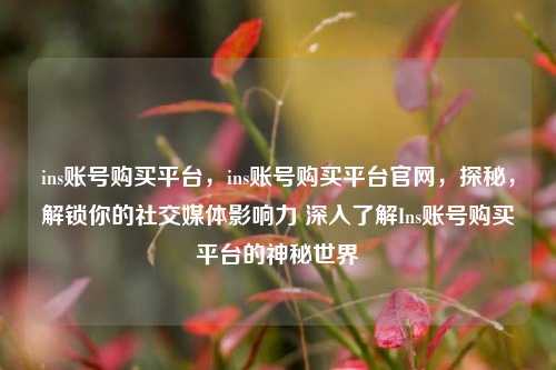 ins账号购买平台，ins账号购买平台官网，探秘，解锁你的社交媒体影响力 深入了解Ins账号购买平台的神秘世界
