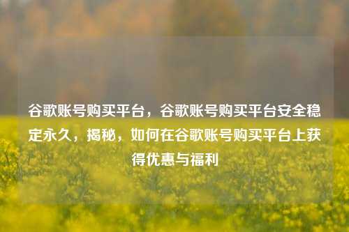 谷歌账号购买平台，谷歌账号购买平台安全稳定永久，揭秘，如何在谷歌账号购买平台上获得优惠与福利