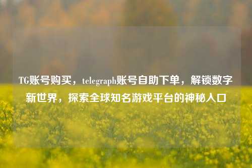 TG账号购买，telegraph账号自助下单，解锁数字新世界，探索全球知名游戏平台的神秘入口