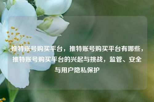 推特账号购买平台，推特账号购买平台有哪些，推特账号购买平台的兴起与挑战	，监管	、安全与用户隐私保护  第1张