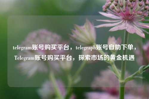 telegram账号购买平台，telegraph账号自助下单，Telegram账号购买平台，探索市场的黄金机遇