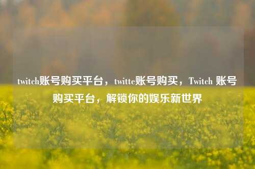 twitch账号购买平台，twitte账号购买，Twitch 账号购买平台，解锁你的娱乐新世界