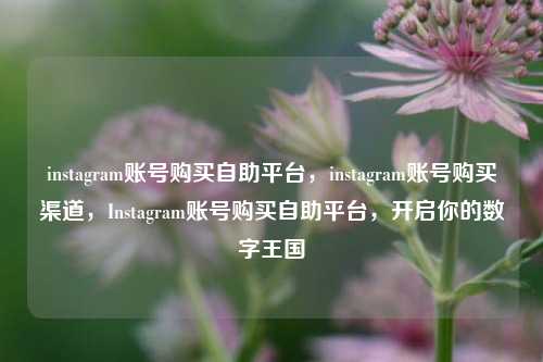 instagram账号购买自助平台，instagram账号购买渠道，Instagram账号购买自助平台，开启你的数字王国