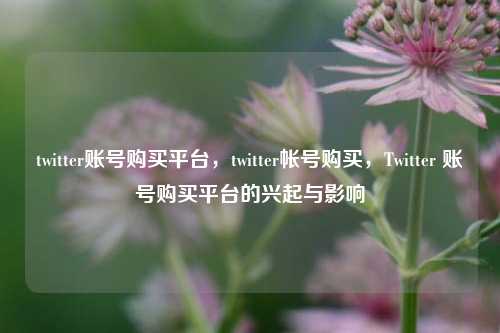 twitter账号购买平台，twitter帐号购买，Twitter 账号购买平台的兴起与影响