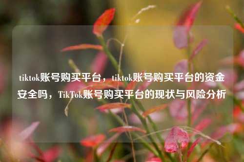 tiktok账号购买平台，tiktok账号购买平台的资金安全吗，TikTok账号购买平台的现状与风险分析