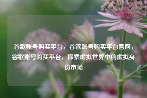 谷歌账号购买平台，谷歌账号购买平台官网，谷歌账号购买平台，探索虚拟世界中的虚拟身份市场