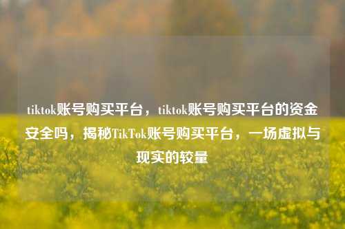 tiktok账号购买平台，tiktok账号购买平台的资金安全吗，揭秘TikTok账号购买平台，一场虚拟与现实的较量