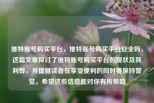 推特账号购买平台，推特账号购买平台安全吗，这篇文章探讨了推特账号购买平台的现状及其利弊，并提醒读者在享受便利的同时要保持警觉。希望这些信息能对你有所帮助