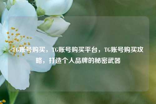 TG账号购买，TG账号购买平台，TG账号购买攻略，打造个人品牌的秘密武器