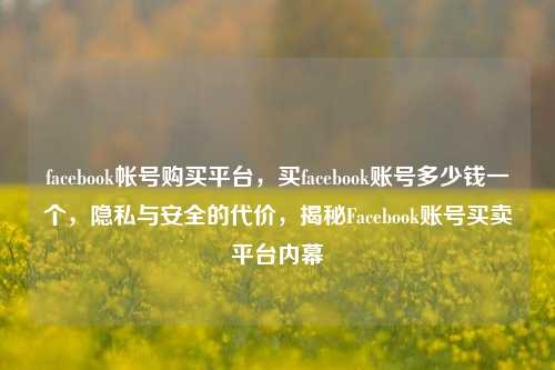 facebook帐号购买平台，买facebook账号多少钱一个，隐私与安全的代价，揭秘Facebook账号买卖平台内幕