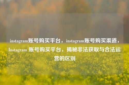 instagram账号购买平台，instagram账号购买渠道，Instagram 账号购买平台，揭秘非法获取与合法运营的区别
