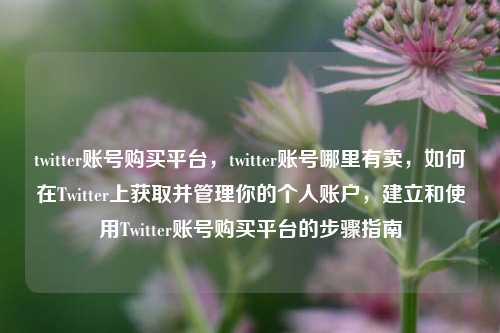 twitter账号购买平台，twitter账号哪里有卖，如何在Twitter上获取并管理你的个人账户，建立和使用Twitter账号购买平台的步骤指南