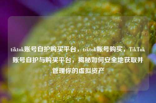 tiktok账号自护购买平台，tiktok帐号购买，TikTok账号自护与购买平台，揭秘如何安全地获取并管理你的虚拟资产