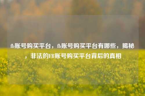 fb账号购买平台，fb账号购买平台有哪些，揭秘，非法的FB账号购买平台背后的真相