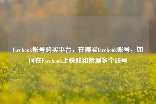 facebook帐号购买平台，在哪买facebook账号，如何在Facebook上获取和管理多个账号
