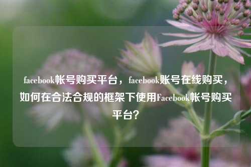 facebook帐号购买平台，facebook账号在线购买，如何在合法合规的框架下使用Facebook帐号购买平台？