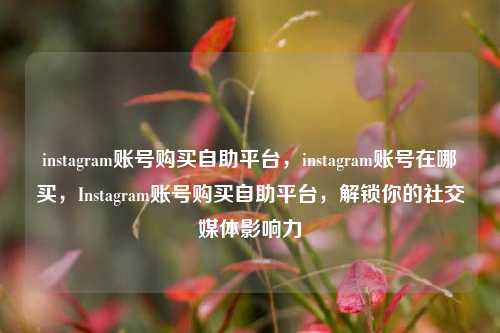 instagram账号购买自助平台，instagram账号在哪买，Instagram账号购买自助平台，解锁你的社交媒体影响力