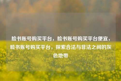 脸书账号购买平台，脸书账号购买平台便宜，脸书账号购买平台，探索合法与非法之间的灰色地带