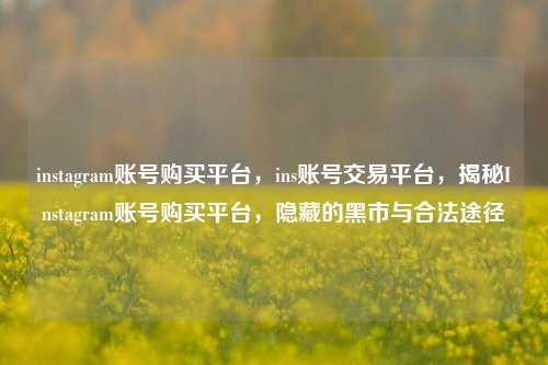 instagram账号购买平台，ins账号交易平台，揭秘Instagram账号购买平台，隐藏的黑市与合法途径
