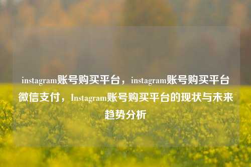 instagram账号购买平台，instagram账号购买平台微信支付，Instagram账号购买平台的现状与未来趋势分析