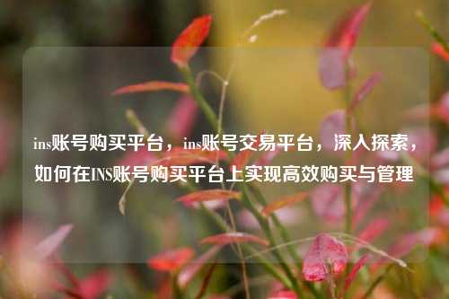 ins账号购买平台，ins账号交易平台，深入探索，如何在INS账号购买平台上实现高效购买与管理