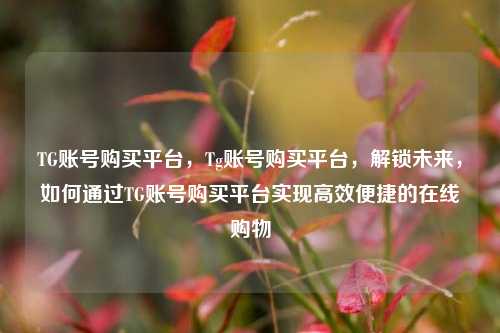 TG账号购买平台，Tg账号购买平台，解锁未来，如何通过TG账号购买平台实现高效便捷的在线购物