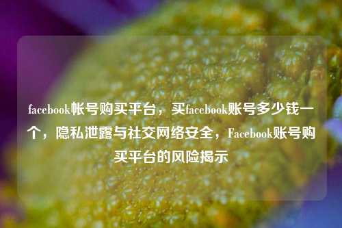 facebook帐号购买平台，买facebook账号多少钱一个，隐私泄露与社交网络安全，Facebook账号购买平台的风险揭示