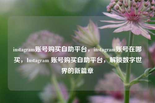 instagram账号购买自助平台	，instagram账号在哪买，Instagram 账号购买自助平台，解锁数字世界的新篇章  第1张