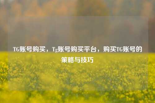 TG账号购买，Tg账号购买平台，购买TG账号的策略与技巧