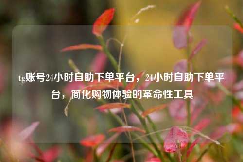 tg账号24小时自助下单平台，24小时自助下单平台	，简化购物体验的革命性工具  第1张