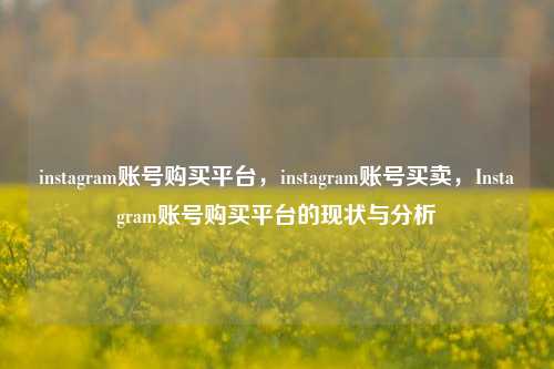 instagram账号购买平台，instagram账号买卖，Instagram账号购买平台的现状与分析