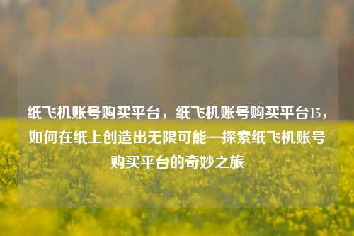 纸飞机账号购买平台，纸飞机账号购买平台15，如何在纸上创造出无限可能—探索纸飞机账号购买平台的奇妙之旅