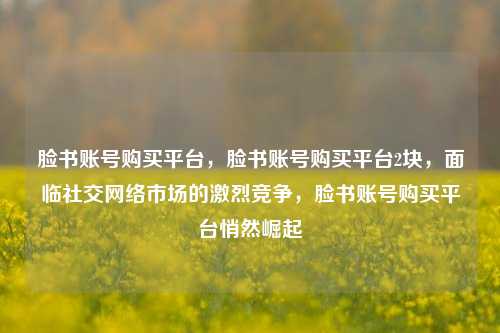 脸书账号购买平台，脸书账号购买平台2块，面临社交网络市场的激烈竞争，脸书账号购买平台悄然崛起