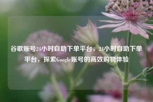 谷歌账号24小时自助下单平台，24小时自助下单平台，探索Google账号的高效购物体验