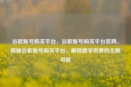 谷歌账号购买平台，谷歌账号购买平台官网，探秘谷歌账号购买平台，解锁数字世界的无限可能