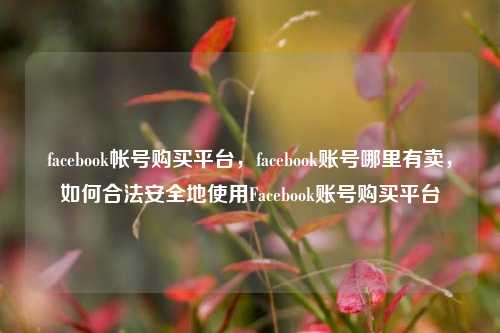 facebook帐号购买平台，facebook账号哪里有卖，如何合法安全地使用Facebook账号购买平台