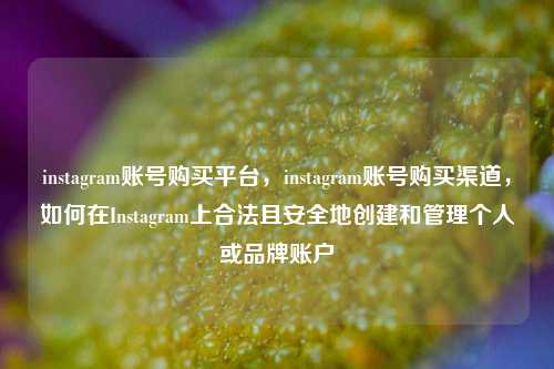 instagram账号购买平台，instagram账号购买渠道，如何在Instagram上合法且安全地创建和管理个人或品牌账户