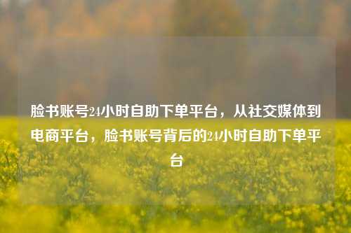 脸书账号24小时自助下单平台，从社交媒体到电商平台，脸书账号背后的24小时自助下单平台