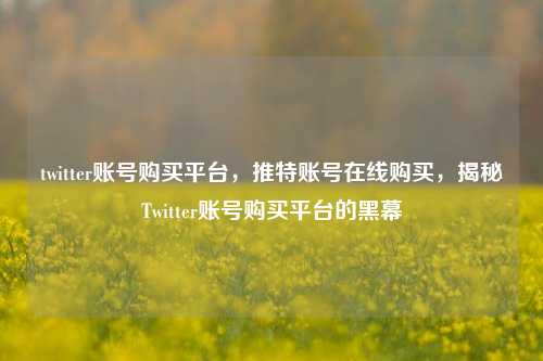 twitter账号购买平台	，推特账号在线购买，揭秘Twitter账号购买平台的黑幕  第1张