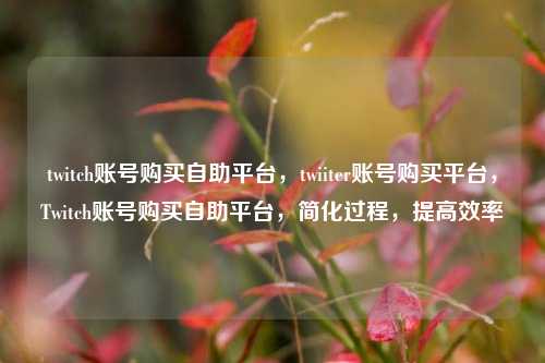 twitch账号购买自助平台，twiiter账号购买平台，Twitch账号购买自助平台，简化过程，提高效率