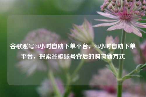 谷歌账号24小时自助下单平台，24小时自助下单平台，探索谷歌账号背后的购物新方式