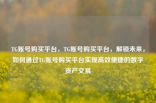 TG账号购买平台，TG账号购买平台，解锁未来，如何通过TG账号购买平台实现高效便捷的数字资产交易